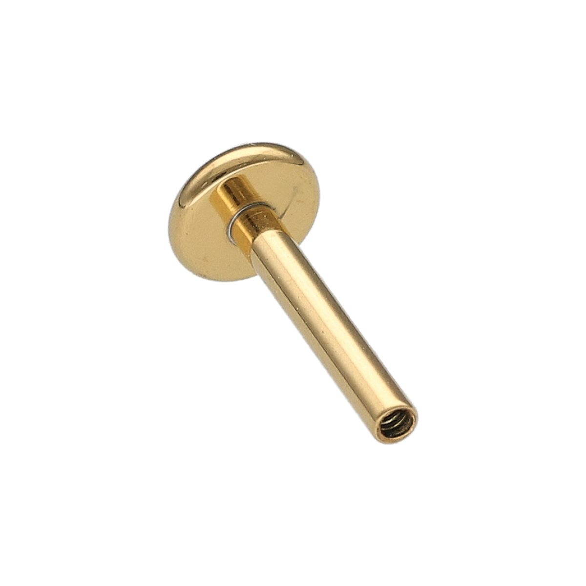 Labret in goud chirurgisch staal, inner 1.2 mm