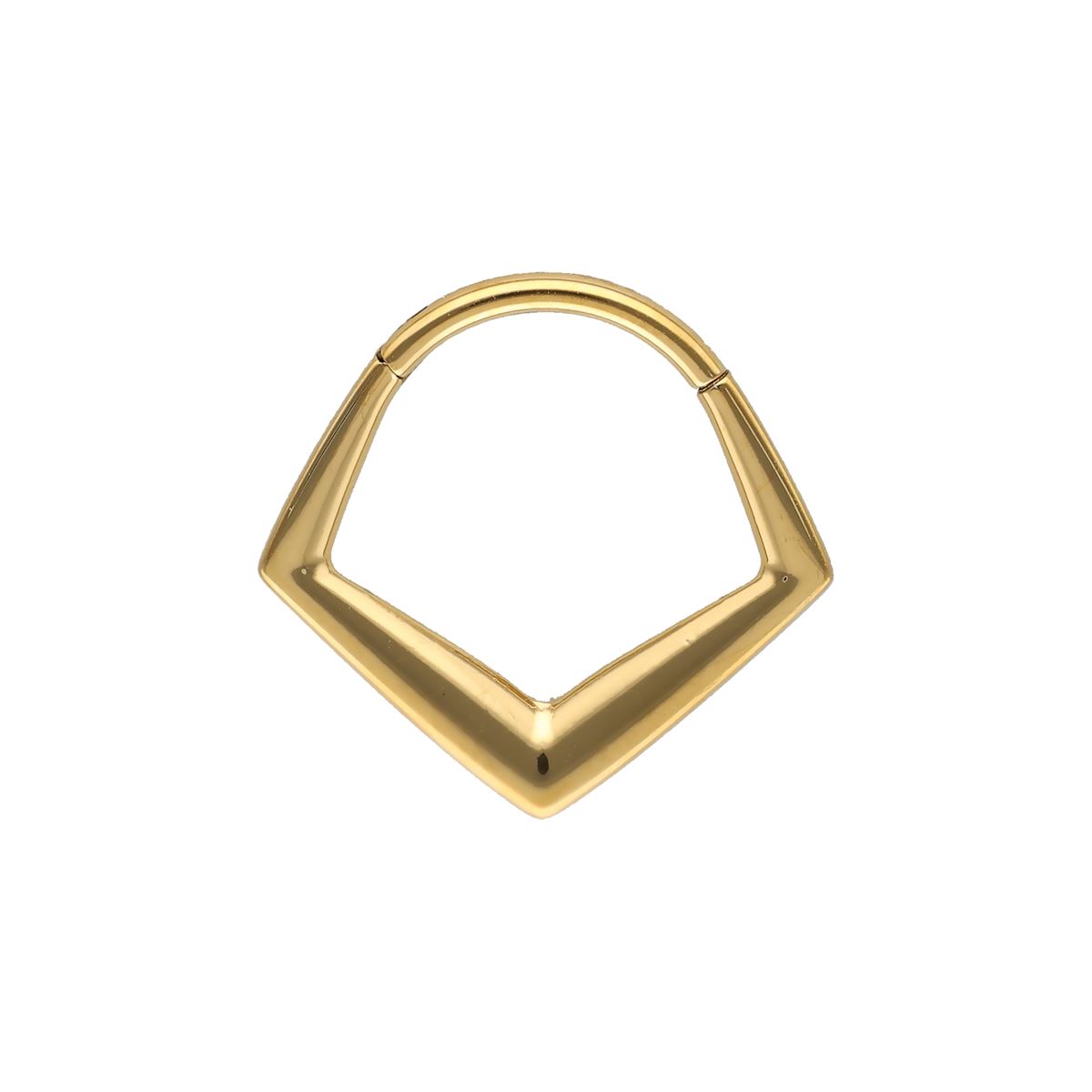 Segmentring/clicker in goud chirurgisch staal vierkant