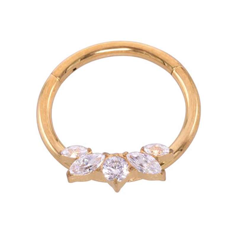 OUFER Navelpiercing 14G goud 316L chirurgisch staal met scharnierend segment hanger navelring in stervorm CZ, hart CZ, zilver, navelpiercing, sieraden voor dames, 8/10 mm, 14G8mm, Roestvrij staal OUFER Navelpiercing 14G goud 316L chirurgisch staal met scharnierend segment hanger navelring in stervorm CZ, hart CZ, zilver, navelpiercing, sieraden voor dames, 8/10 mm, 14G8mm, Roestvrij staal