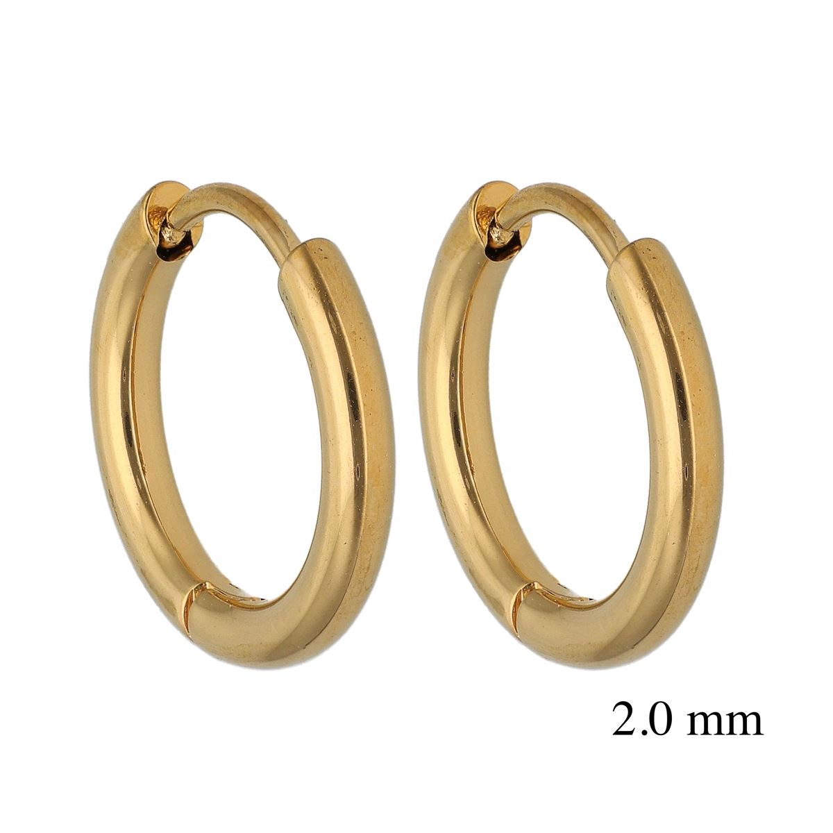 Oorringen in goud chirurgisch staal, 2mm